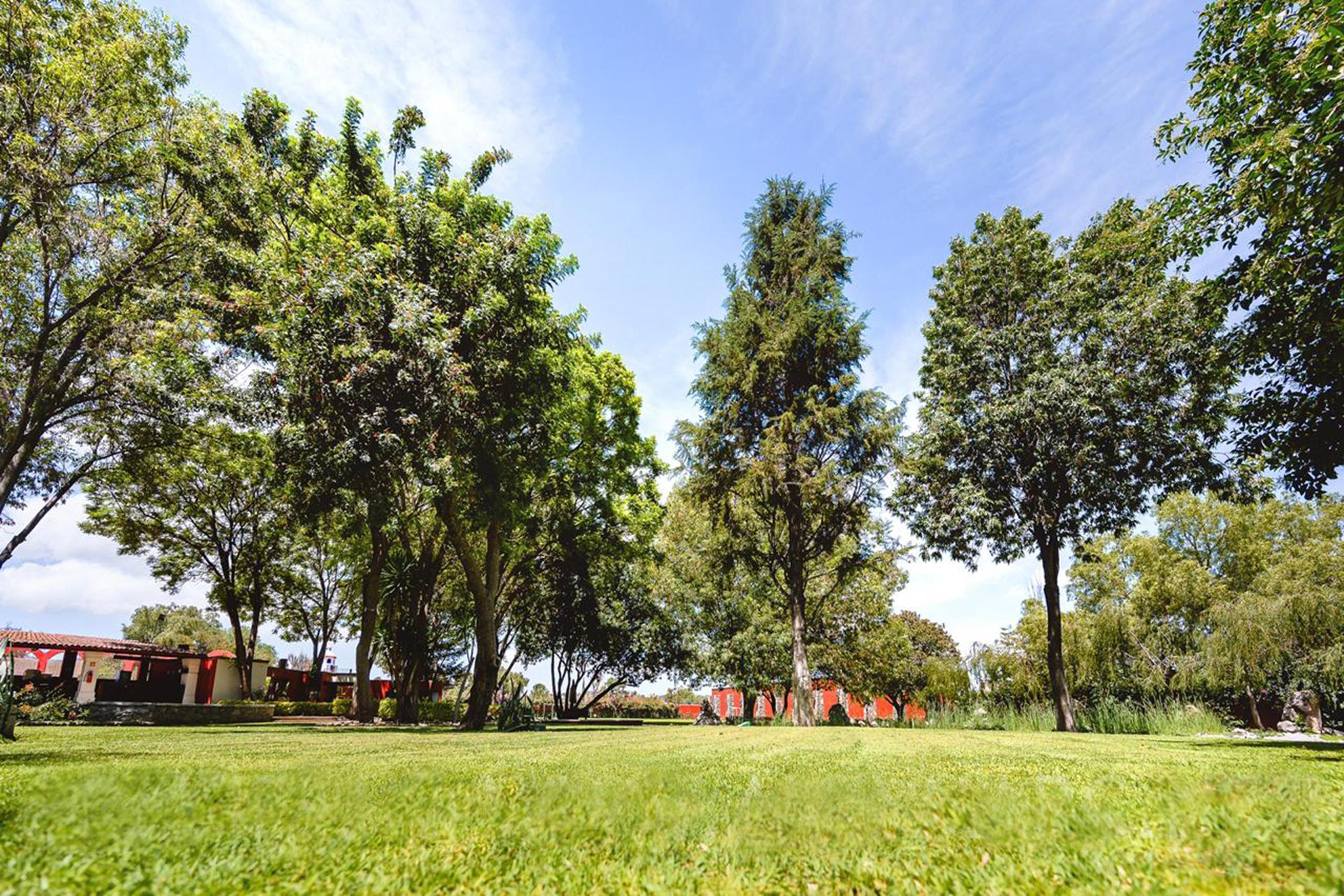 โรงแรมเรอัล เด มินาส ซานมิเกล เด อาเญนเด ภายนอก รูปภาพ The park