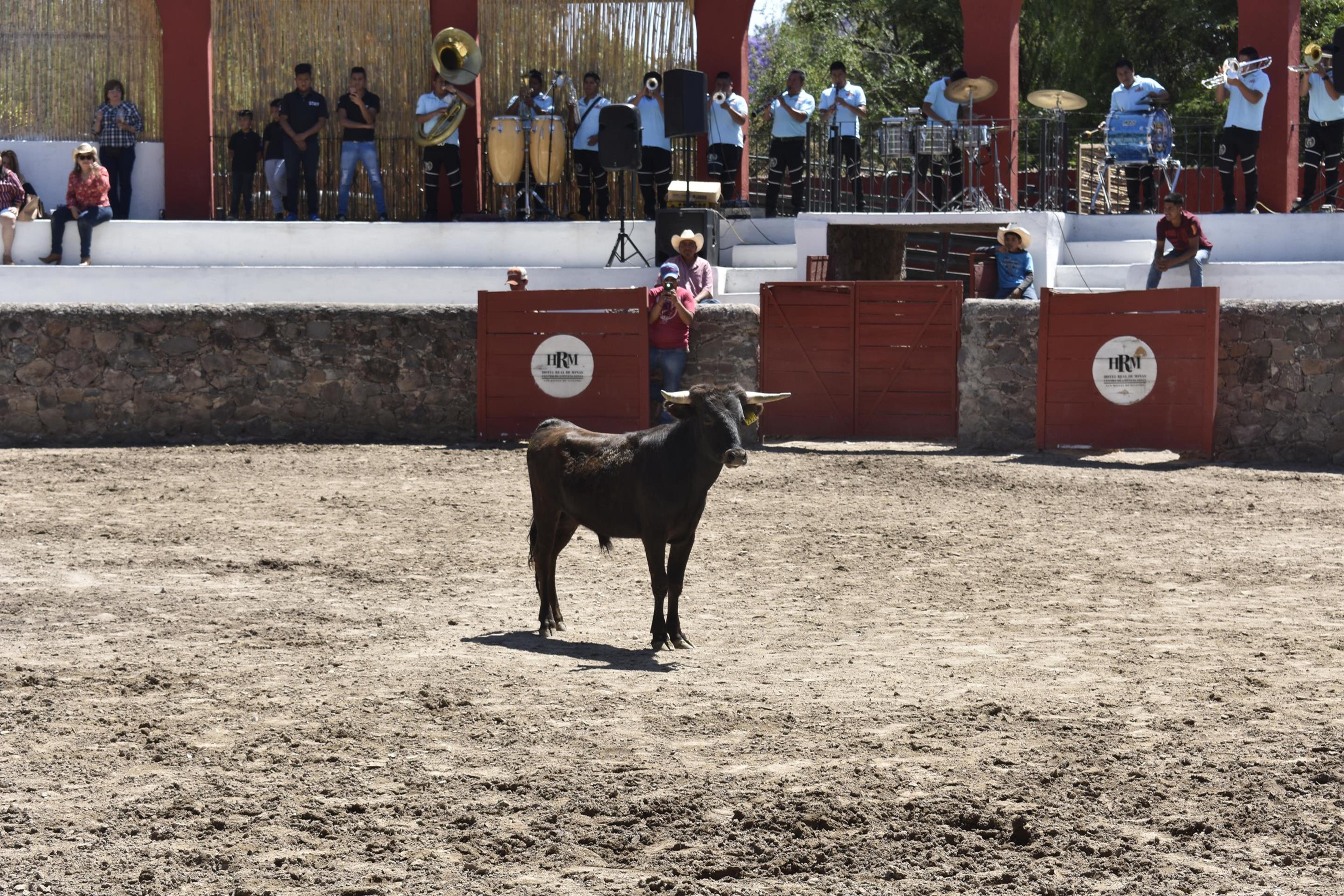 โรงแรมเรอัล เด มินาส ซานมิเกล เด อาเญนเด ภายนอก รูปภาพ A bull in the bullring