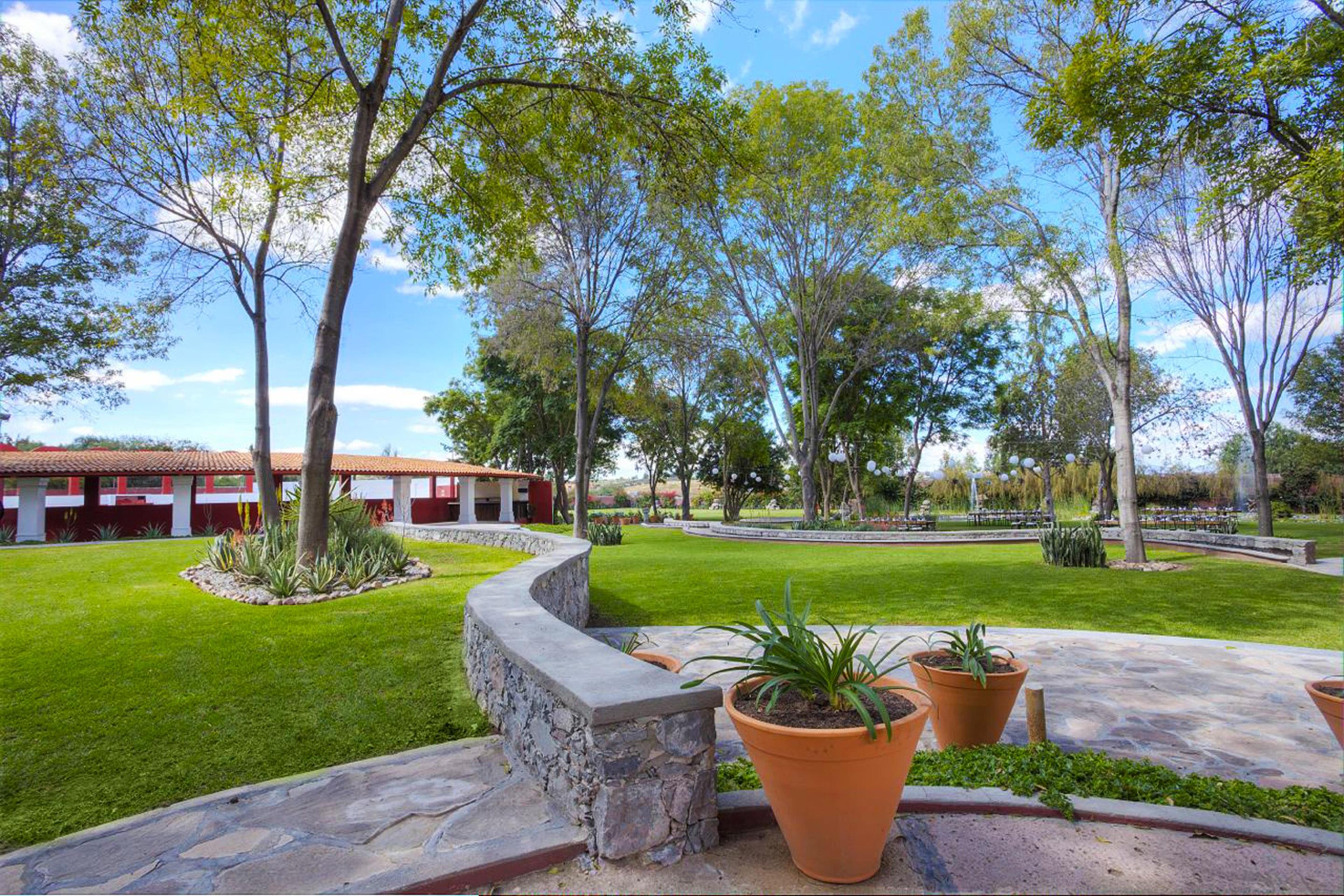 โรงแรมเรอัล เด มินาส ซานมิเกล เด อาเญนเด ภายนอก รูปภาพ View of the main square in San Marcos
