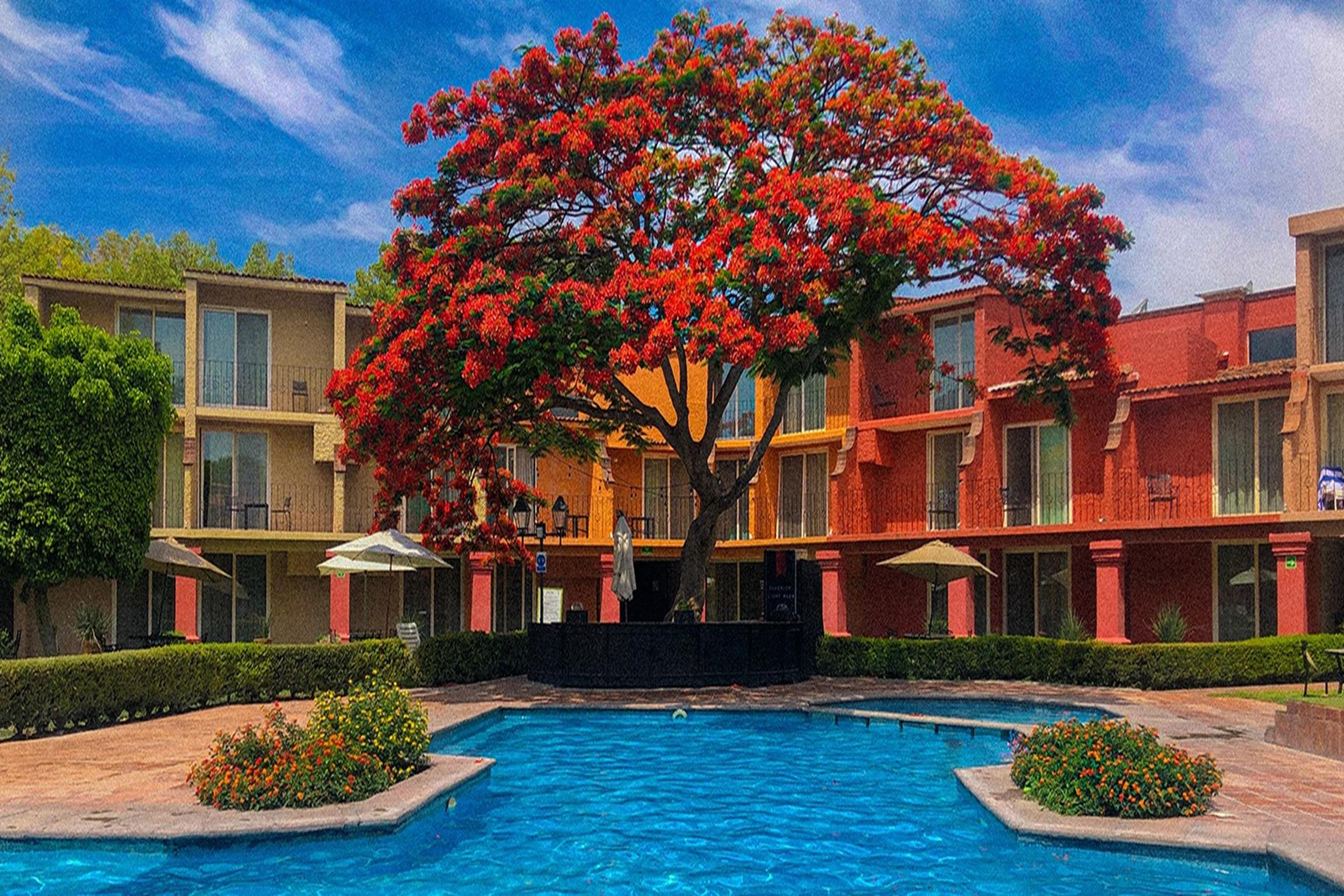 โรงแรมเรอัล เด มินาส ซานมิเกล เด อาเญนเด ภายนอก รูปภาพ The pool at the Hotel del Angel