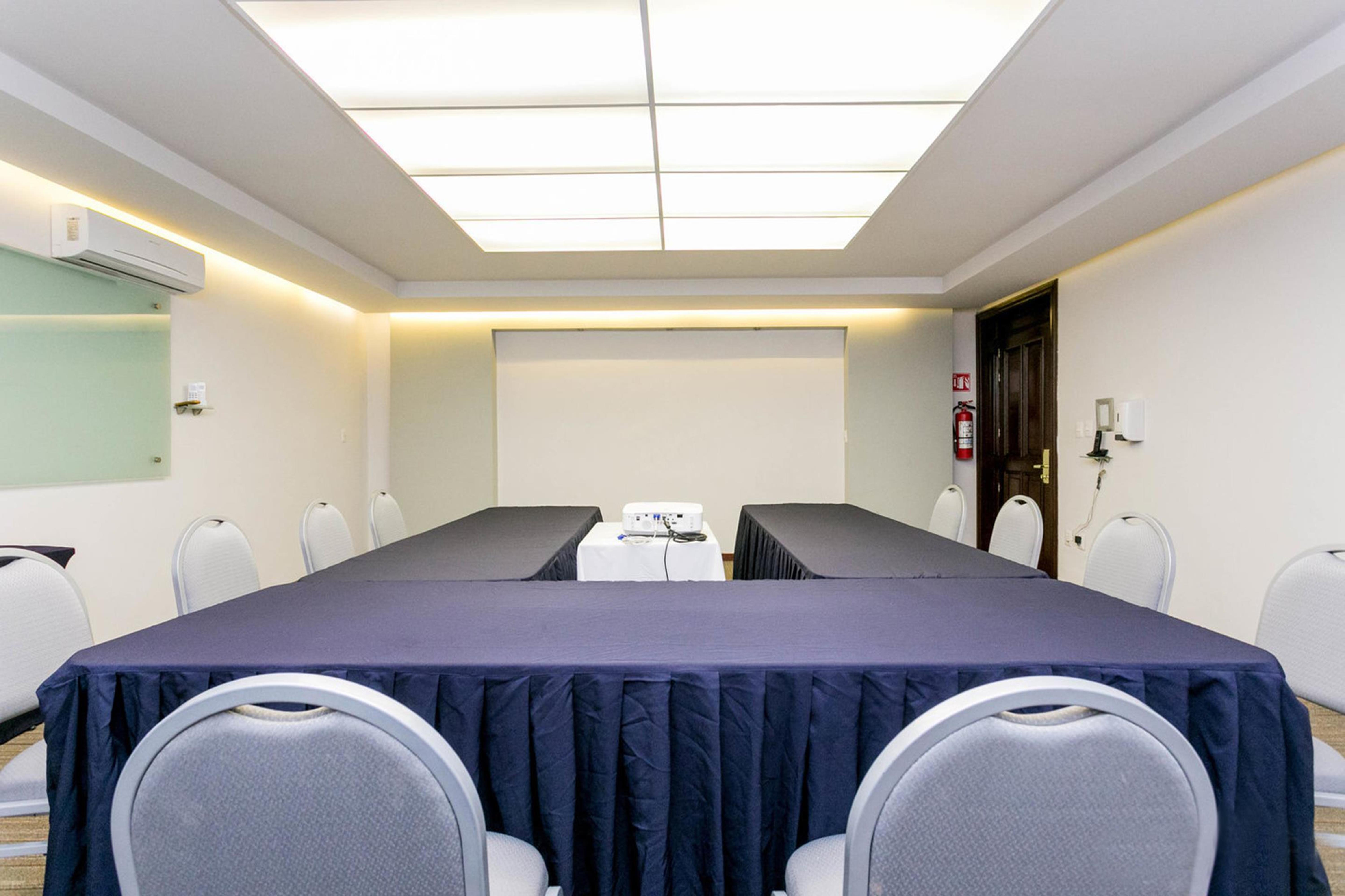 โรงแรมเรอัล เด มินาส ซานมิเกล เด อาเญนเด ภายนอก รูปภาพ Meeting room