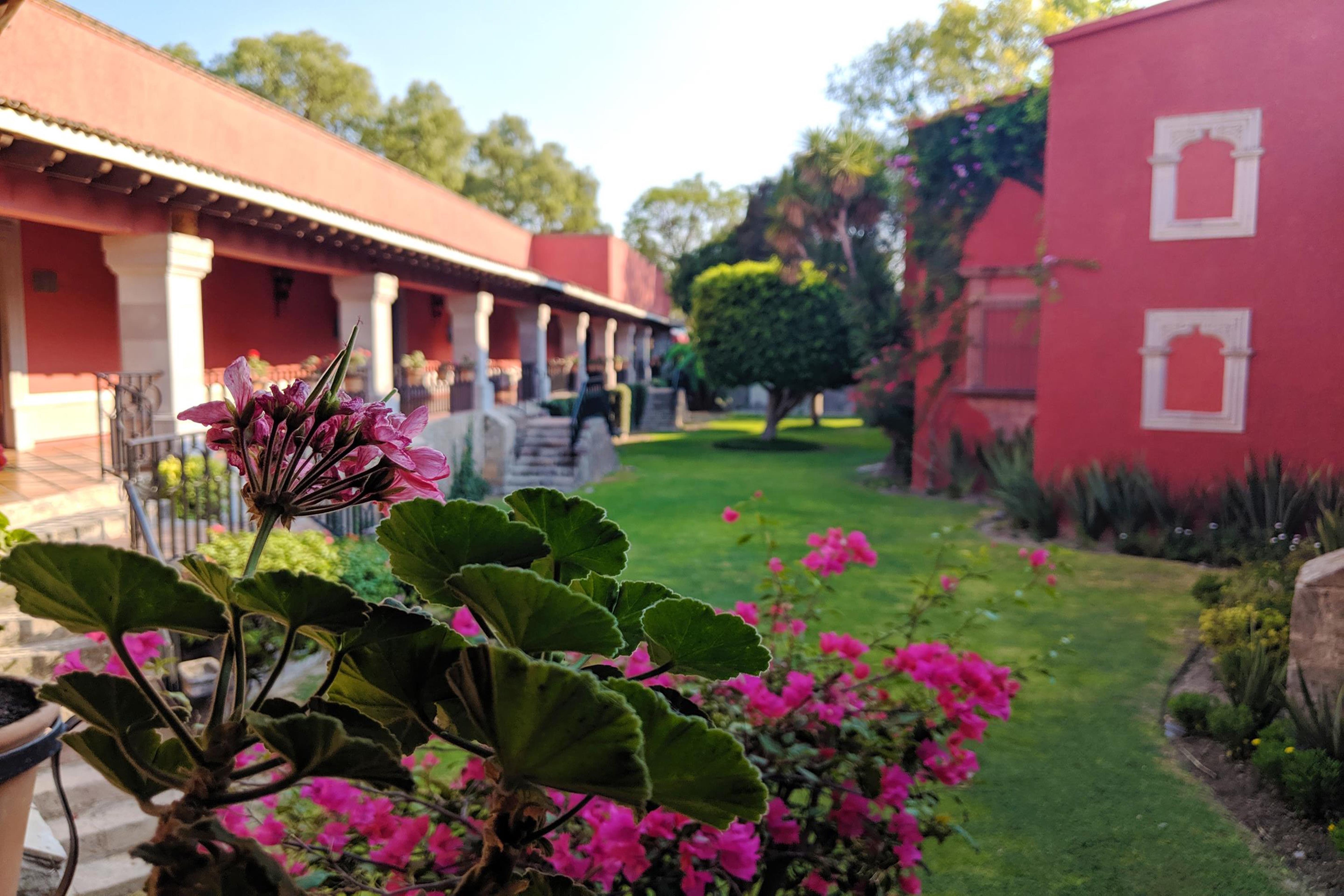 โรงแรมเรอัล เด มินาส ซานมิเกล เด อาเญนเด ภายนอก รูปภาพ Hacienda San José de San Miguel